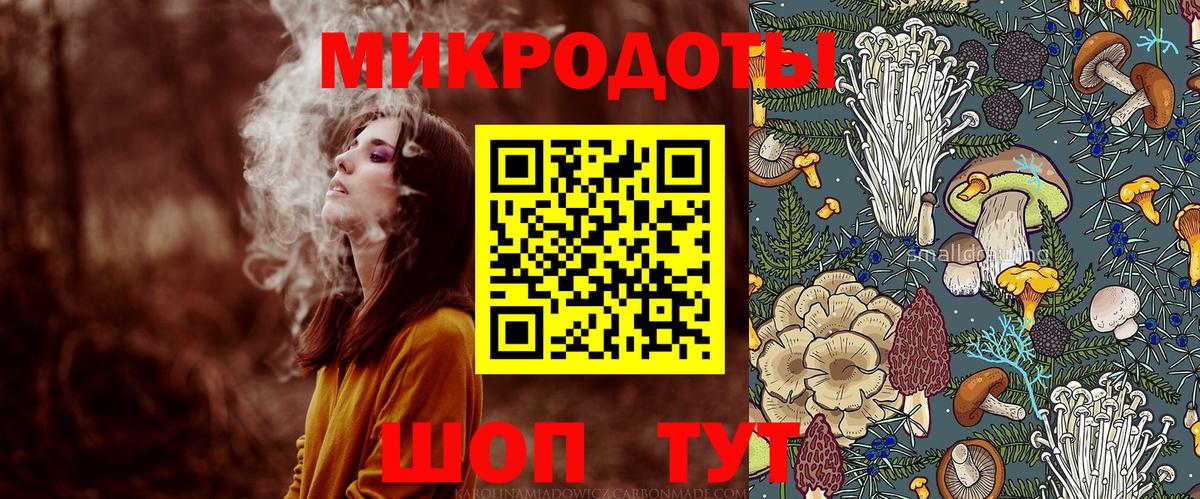 Галлюциногенные грибы Psilocybe Первоуральск