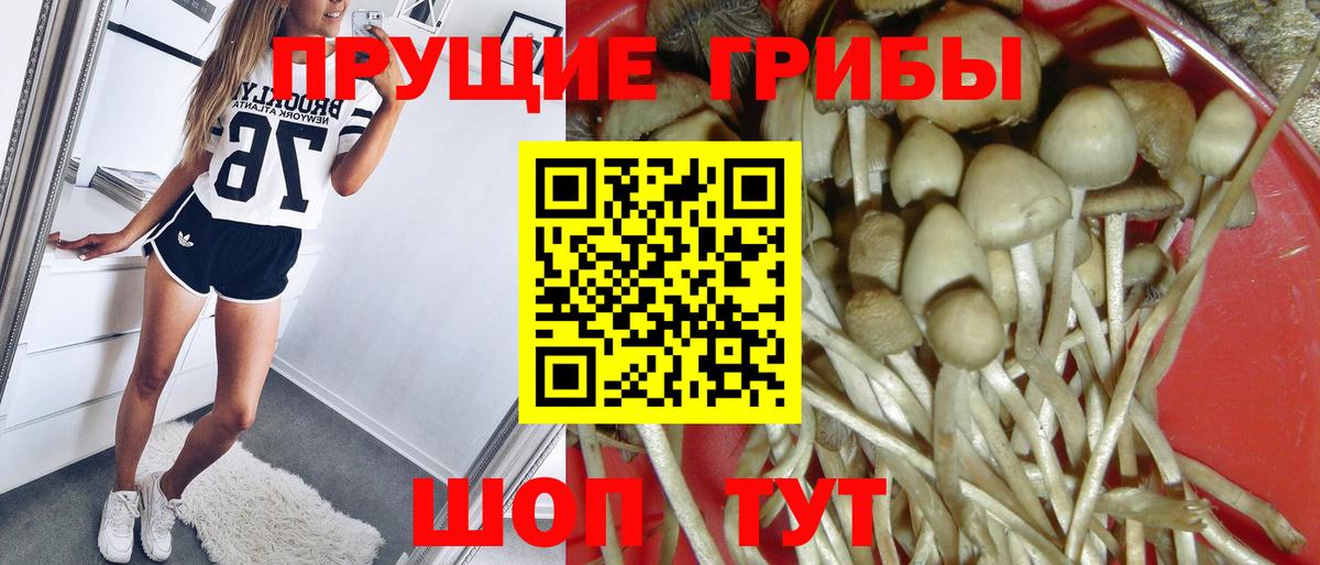 Первоуральск  Псилоцибиновые грибы GOLDEN TEACHER  Вход с VPN 